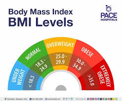 body m index bmi calculator