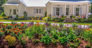 A Cottage Esque Perennial Planting