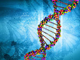 scientists sequence 64 human genomes as