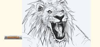 how to draw a bemused lion head for