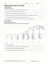 gardening worksheets lessons