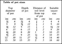 Pots For Your Indoor Plants Pot Sizes And Materials Indoor