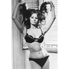 Sophia loren was born as sofia scicolone at the clinica regina margherita in rome, italy, on her advice to young actresses learn how to kiss. Sophia Loren Sexy Bra Panties 24x36 Poster Huge Cleavage Walmart Com Walmart Com