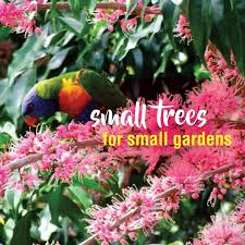 If you want slightly taller ornamental trees, look at speckled alder (alnus rugosa), juneberry (amelanchier arborea), or allegheny serviceberry (amelachier laevis), all of which grow to between 15 and 25 feet (4.5 to 7.5 m.) tall. Small Trees In Small Gardens About The Garden Magazine