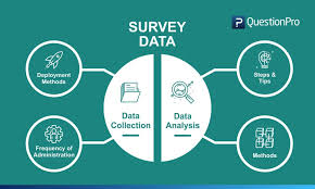 survey data collection definition