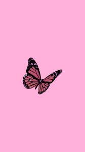 Aesthetic Simple Butterfly Wallpapers ...