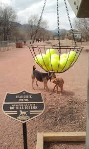 bear creek dog park visit colorado