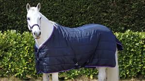 how to clean horse rugs at home with
