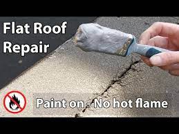 Flat Roof Leak Repair Paint On