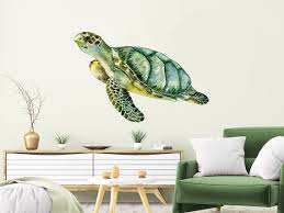 Color Mural Turtle Wall Stickers
