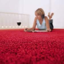 top 10 best carpeting near paisley rd w