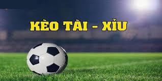 Tai Xiu 0.5 la gi? Kinh nghiem ca cuoc keo Tai Xiu 0.5