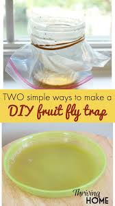 easy diy fruit fly traps using apple