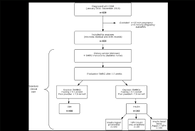 Flow Chart Of The Study Design Gdm Gestational Diabetes