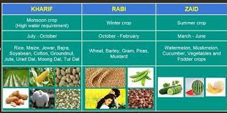 All About Agriculture Important Crops In Tamilnadu gambar png