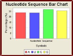 5 Rna Nucleotide Percentage Bar Chart Download Scientific