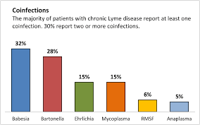 Lyme Disease Co Infections Lymedisease Org