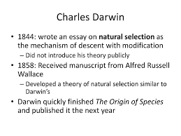 ppt chapter descent modification powerpoint presentation charles darwin bull 1844 wrote an essay on natural selection as the mechanism of descent modification bull did not introduce his theory publicly bull 1858