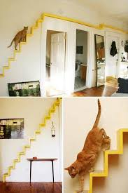 Cat Stairway Cat Furniture Cat