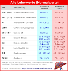 Maßeinheiten tabelle zum ausdrucken from www.kleineschule.com.de. Leberwerte Tabelle Alle Normalwerte