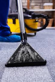 eco friendly green carpet cleaning