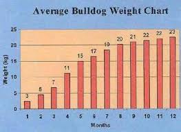 Weight Chart Bulldog Dog Facts Weight Charts Dog