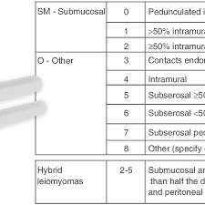 Uterine Fibroid Subclassification Within The Figo Abnormal