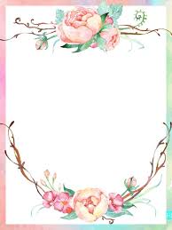Colored Border Lace Beautiful Flower Border Background Pattern