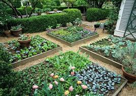 Sustainable And Eco Friendly Yard