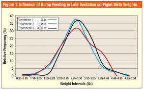 Gestation Diets Impact On Pig Birth Weights National Hog