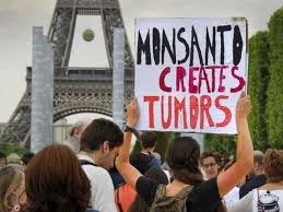 Image result for anti GMO pictures