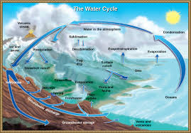 Biogeochemical cycles webquest in this webquest you will search for information that will answer questions about the water, carbon/oxygen, nitrogen and phosphorous cycles using the listed websites. 3 2 Biogeochemical Cycles Environmental Biology