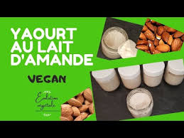 yaourt au lait d amande recette vegan