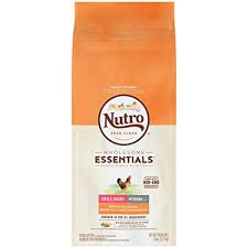 Nutro Wholesome Essentials Senior