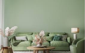 Green Color Combinations For Living