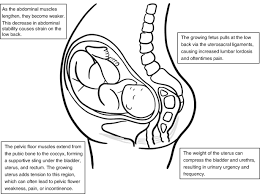 musculoskeletal pain during pregnancy