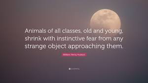 Henry hudson was a celebrated english navigator and sea explorer during the 17th century. William Henry Hudson Quote Animals Of All Classes Old And Young Shrink With Instinctive Fear From