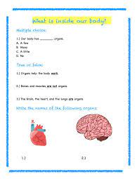 Learn about mammals, reptiles, birds, fish, and amphibians. 3rd Grade Science Review Worksheet