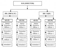 Organogram Of Human Resource Department