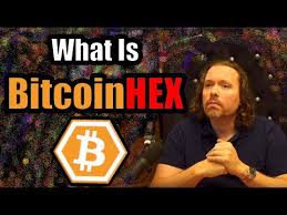 As of this vid it's up 7x vs btc and 5x vs eth! What Is Richard Heart S Bitcoin Hex Get Rich Quick Cryptocurrency Review Youtube