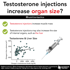 testosterone injections increase organ
