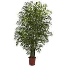 Best Outdoor Artificial Palm Trees