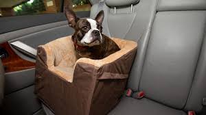 Best Dog Car Seats Tested By Experts