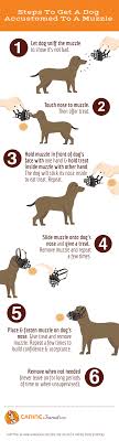 An aggressive puppy is rare, but some situations or instincts can cause seemingly 'aggressive' behavior. Best Dog Muzzle For Barking Biting Grooming Walking Caninejournal Com