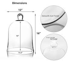 Glass Bell Cloche Display Dome Cover