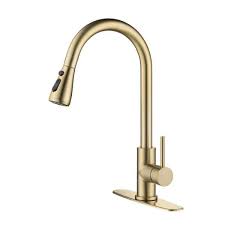 Sprayer Kitchen Faucet In Brushed Gold