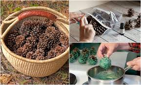 Pine Cone Uses In The Home Garden
