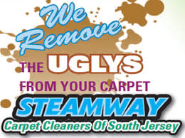 steamway carpet cleaners of south
