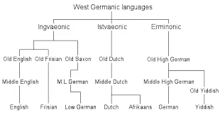 Why Do Some Germanic Language Family Charts Claim That Dutch