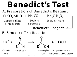 Benedict S Test Definition Principle